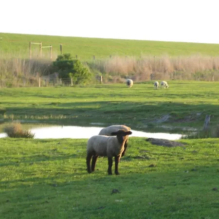 Haus-halligblick-ferienwohnung-groede דירה