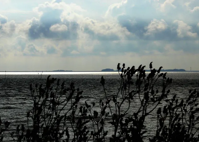 شقة Haus-halligblick-ferienwohnung-groede